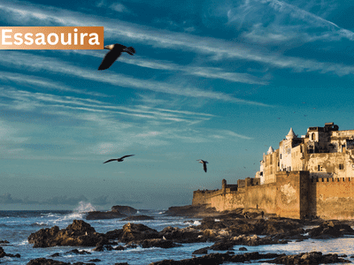 day trip from marrakech to essaouira