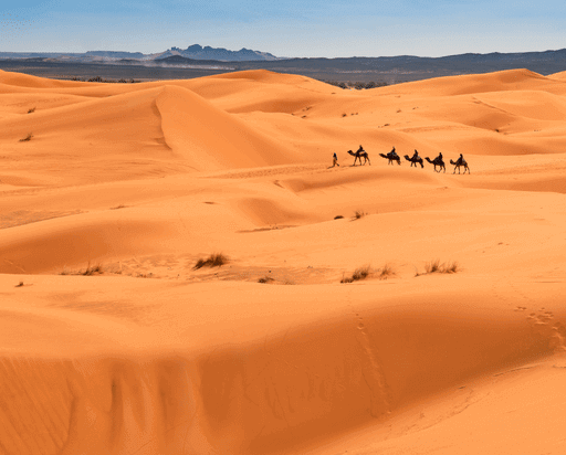 Shared 3 Days Desert Tour From Marrakech