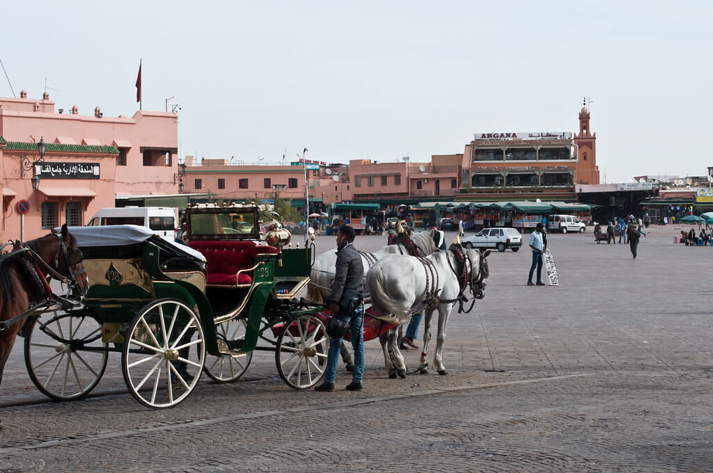 6 days tours from the red city Marrakech / morocco travel