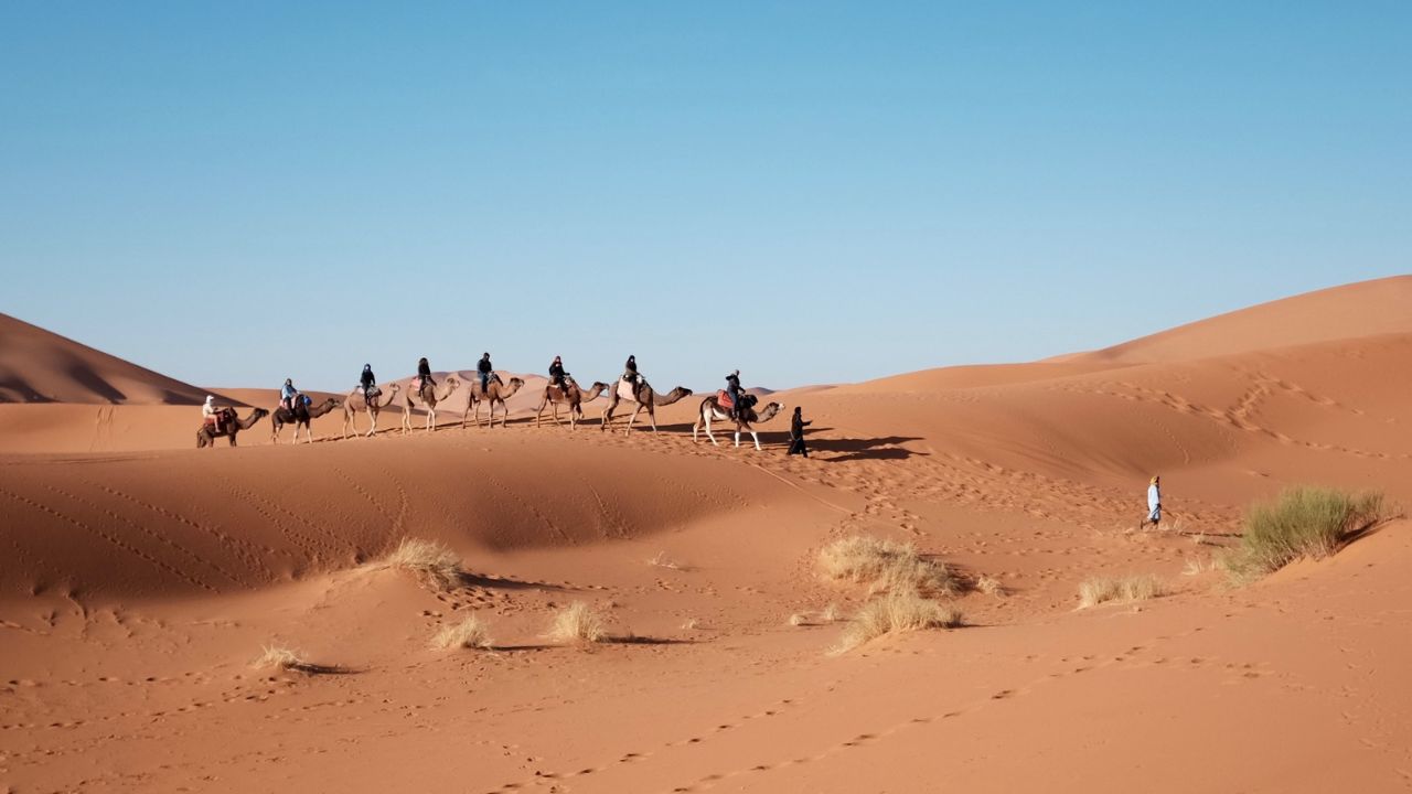 Read more about the article Can You Visit the Desert from Marrakech? (Quick Answer First)